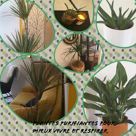 Maison Du Bonheur L Art De Vivre A La Francaise Entier Avec Parking Sainte-Savine